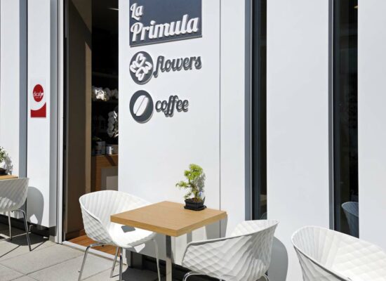 La Primula - Spanò Flower and Coffee